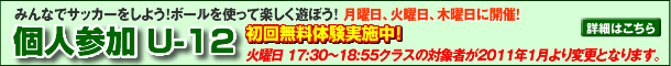U-12���񖳗��̌����{���I