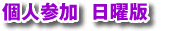 �l�Q�� ��ʃN���X